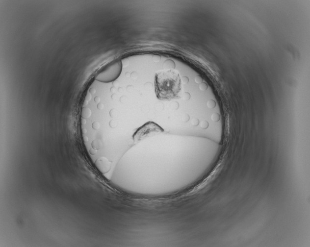 X0000111511405200908041212