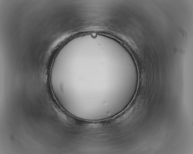 X0000111511406200908041212