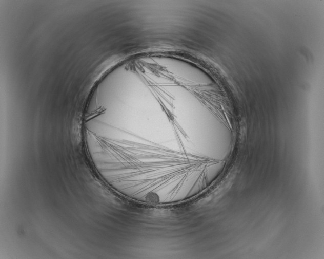 X0000111511409200908041212