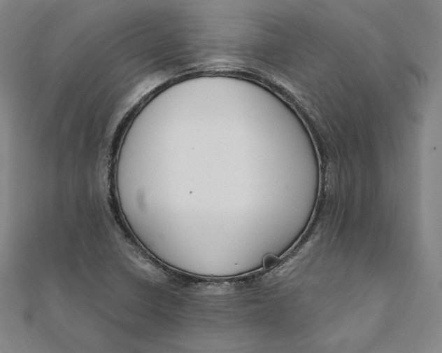 X0000111511410200908041213