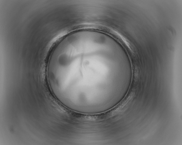 X0000111511411200908041213