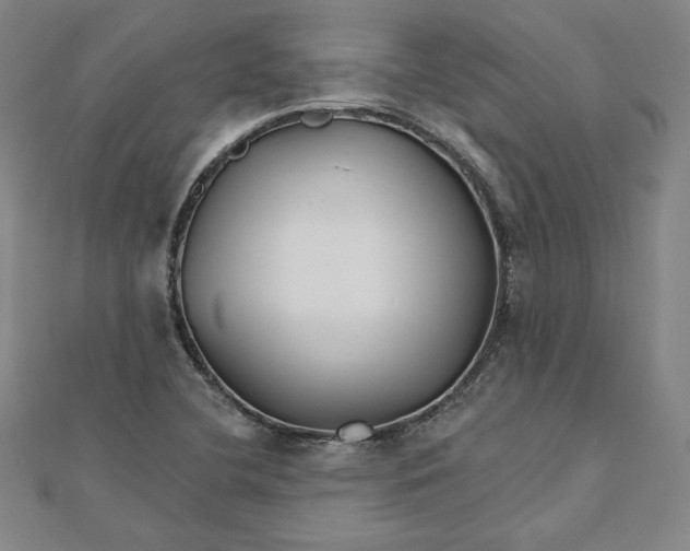 X0000111511412200908041213