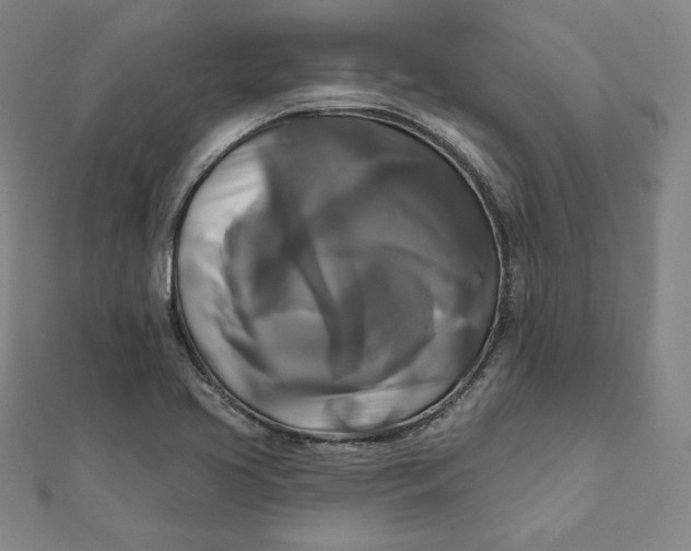 X0000111511413200908041213