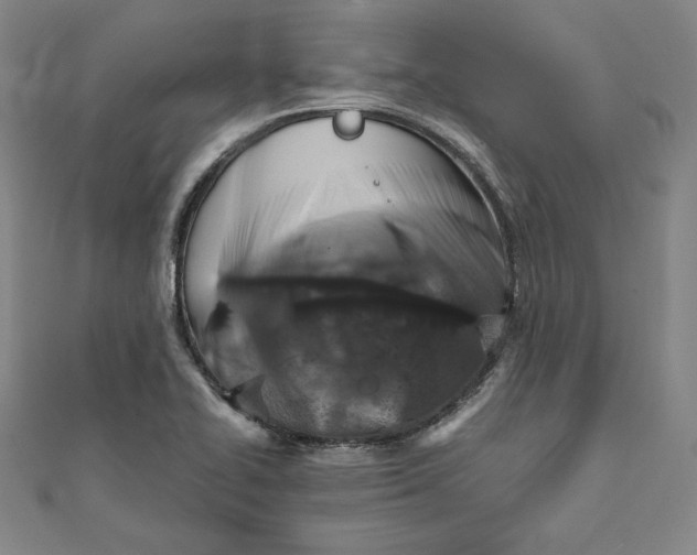 X0000111511414200908041213