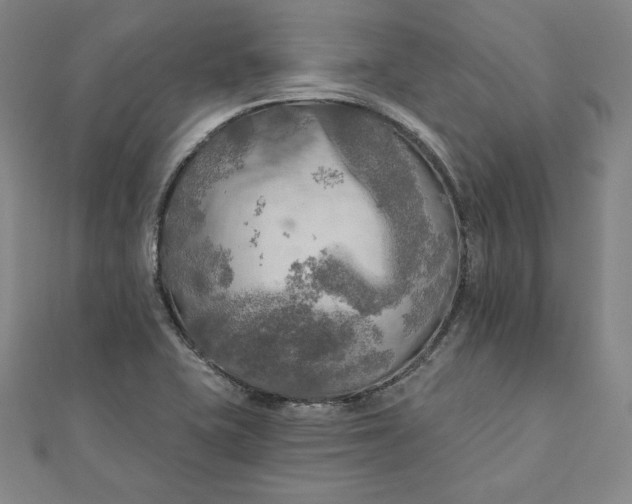 X0000111511415200908041213