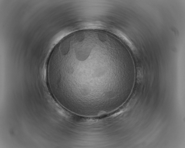 X0000111511419200908041213