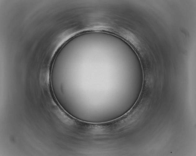 X0000111511420200908041213