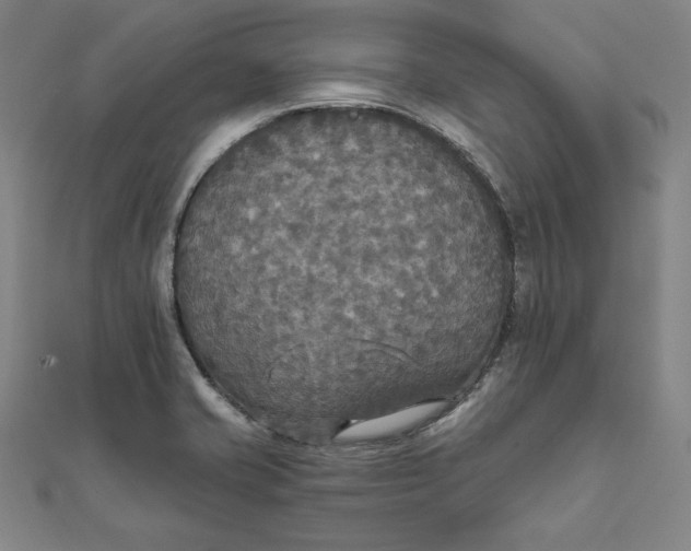 X0000111511421200908041213