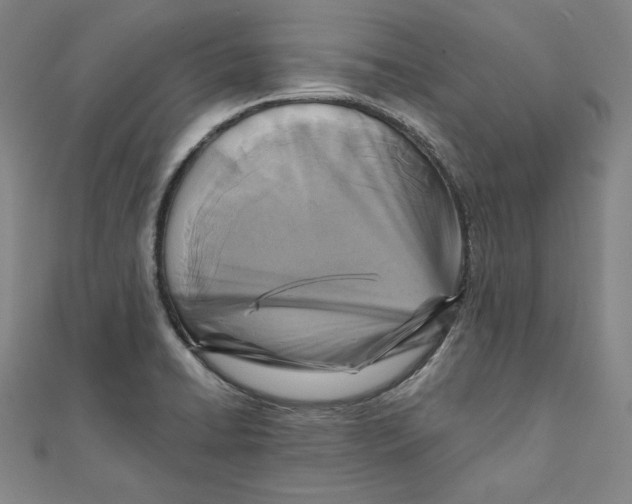 X0000111511422200908041213