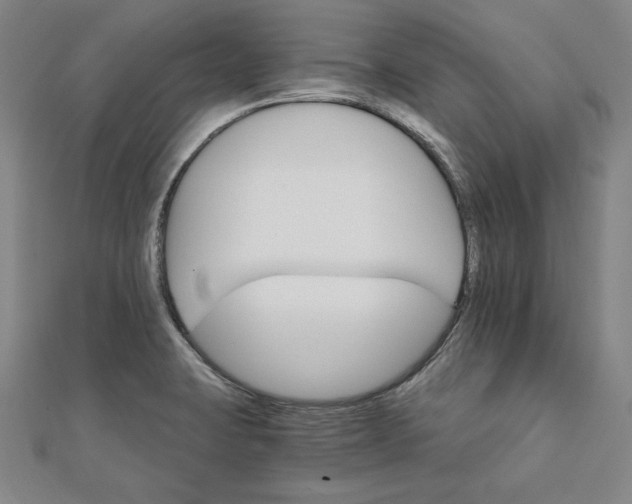 X0000111511423200908041213