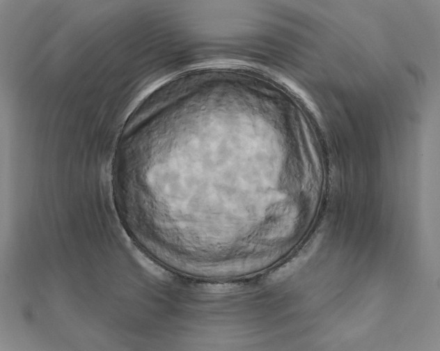 X0000111511425200908041213