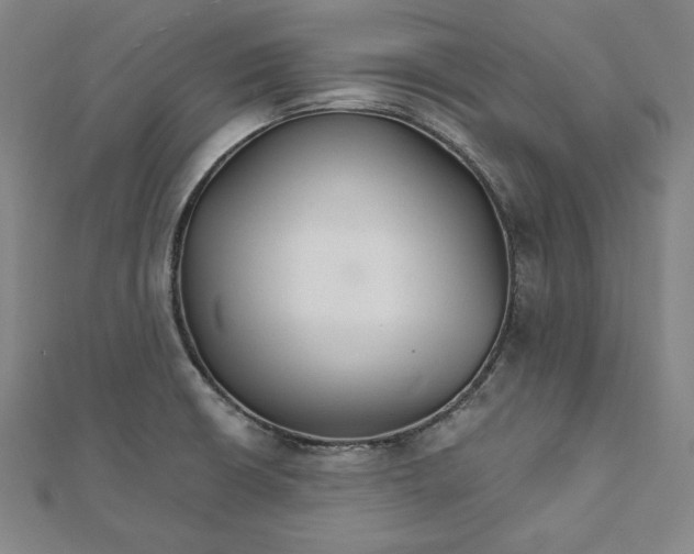 X0000111511426200908041213
