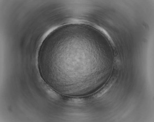 X0000111511427200908041213