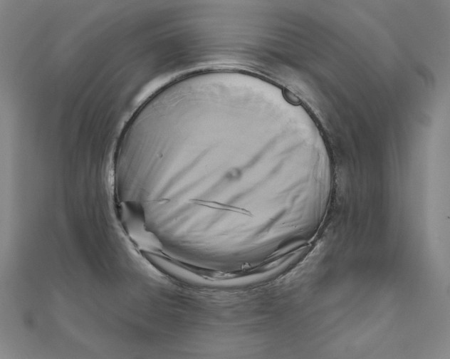 X0000111511428200908041213