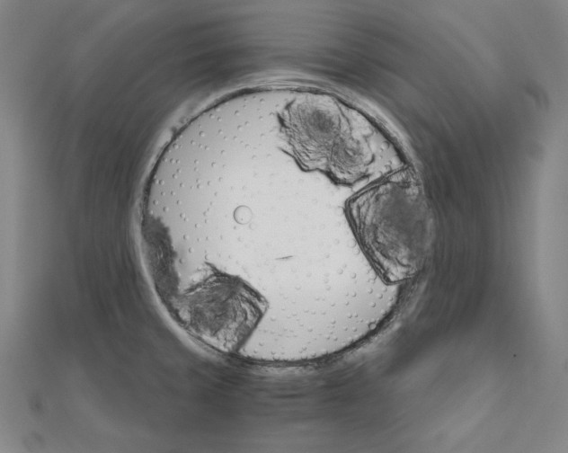 X0000111511429200908041213