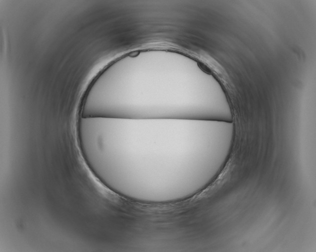 X0000111511430200908041213
