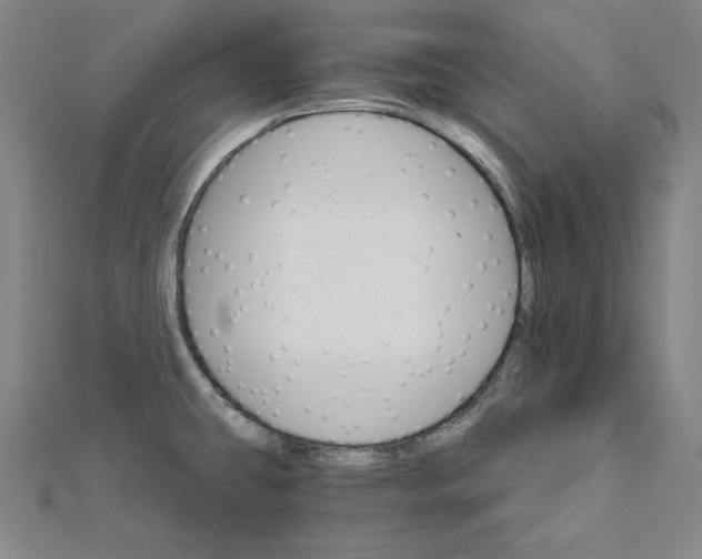 X0000111511431200908041213