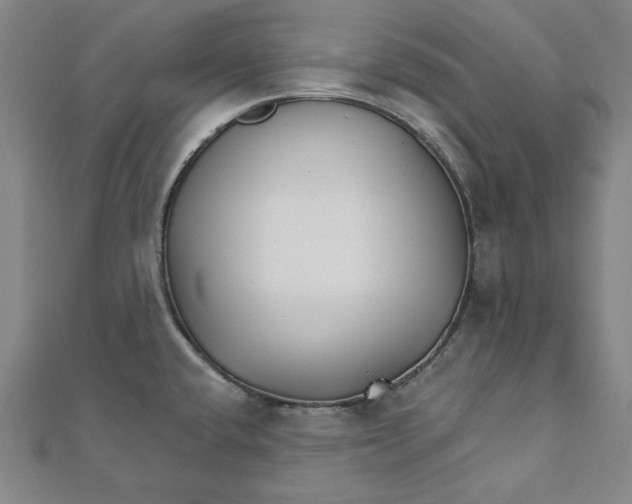 X0000111511432200908041213
