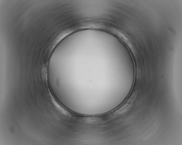X0000111511433200908041213