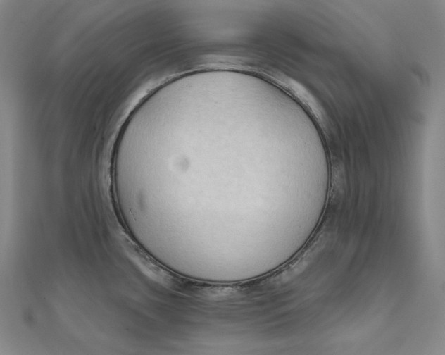 X0000111511435200908041213