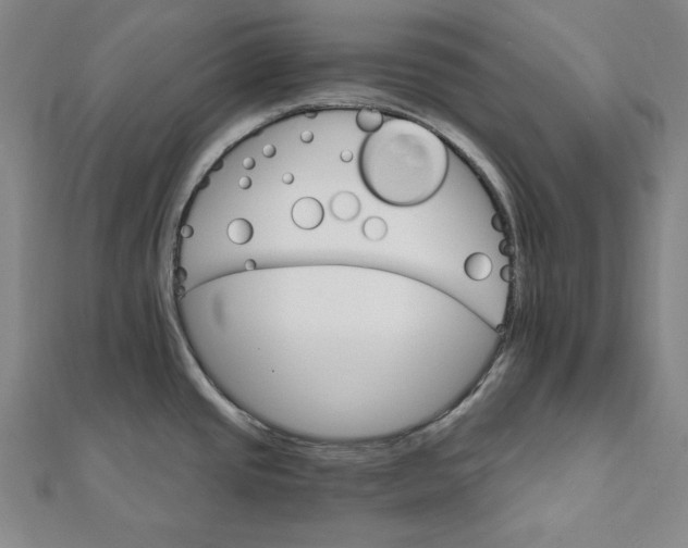 X0000111511437200908041213