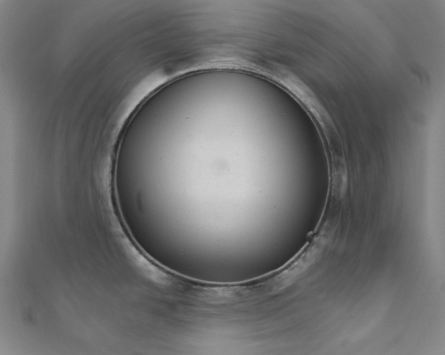 X0000111511438200908041213