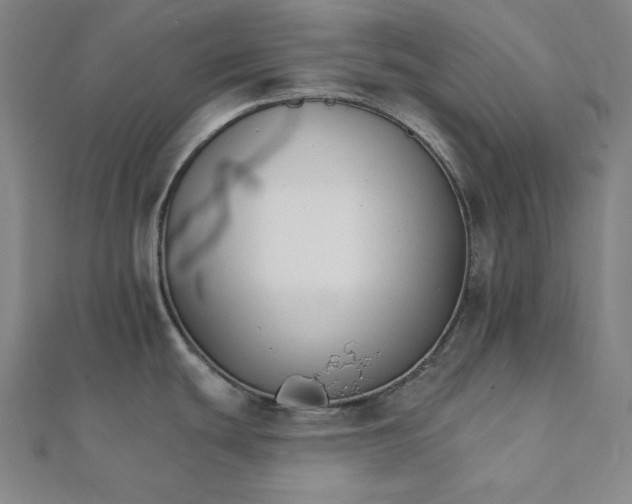 X0000111511439200908041213
