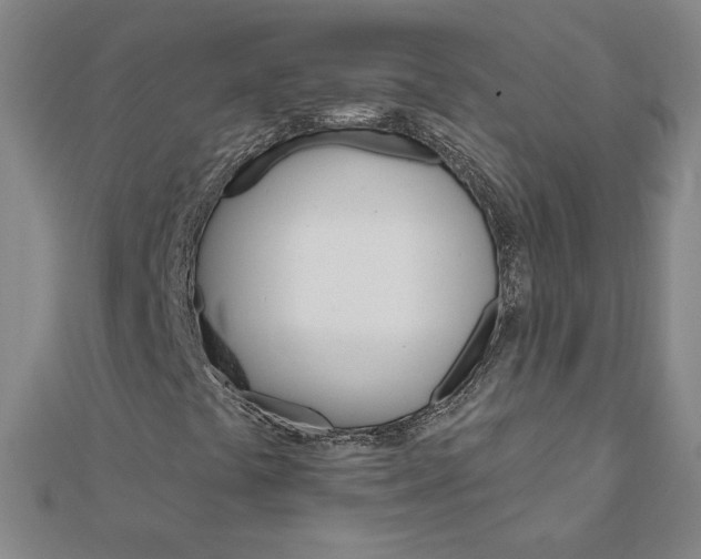 X0000111511441200908041212