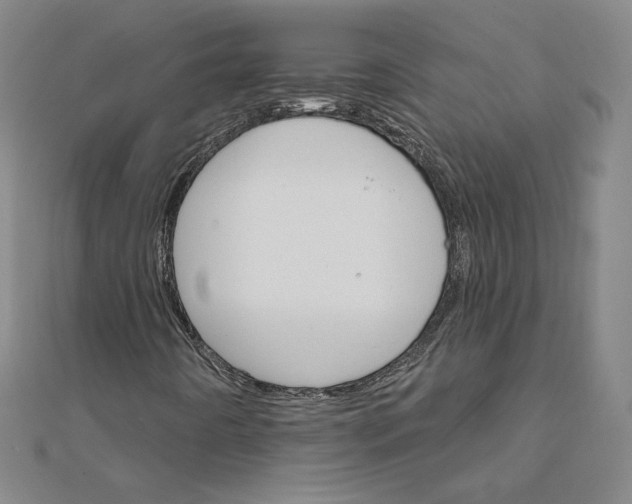 X0000111511442200908041212