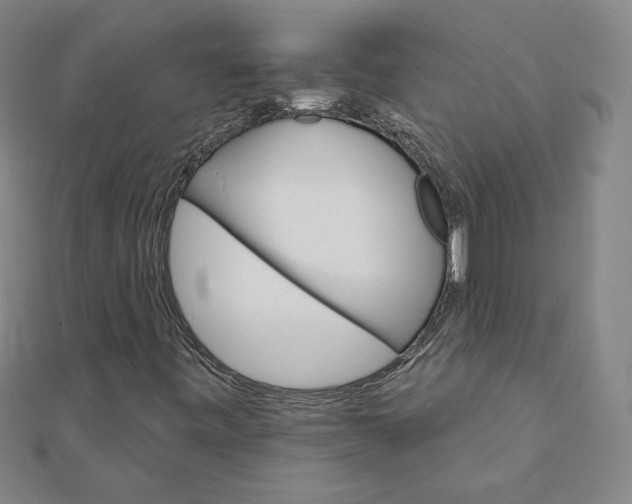 X0000111511443200908041212