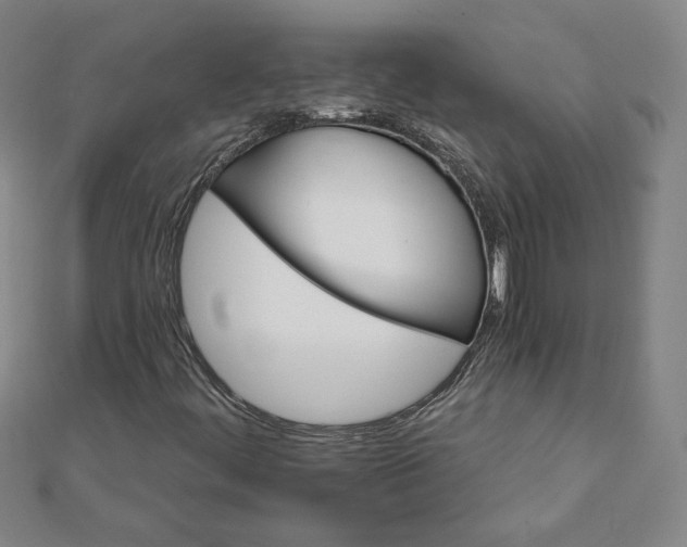 X0000111511444200908041212