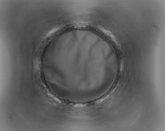 X0000111511445200908041212