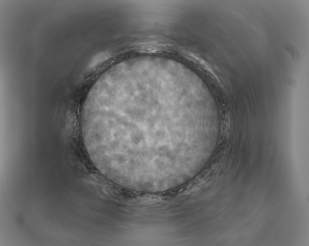 X0000111511446200908041212