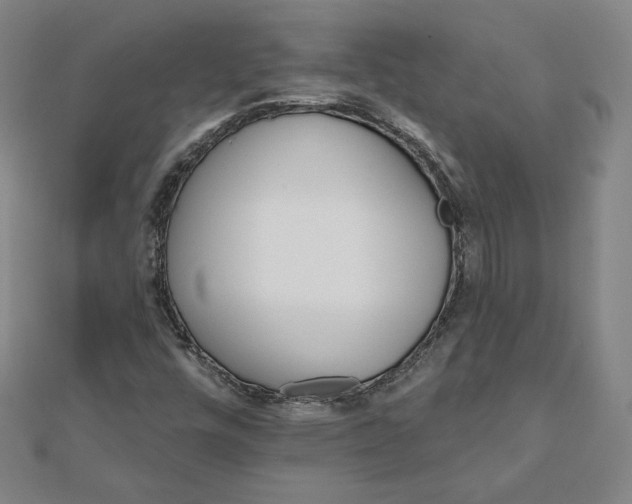 X0000111511448200908041212