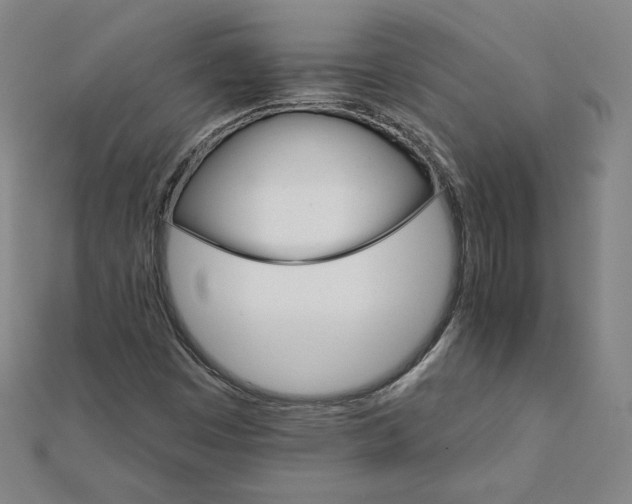 X0000111511449200908041212