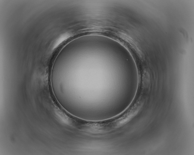 X0000111511450200908041212