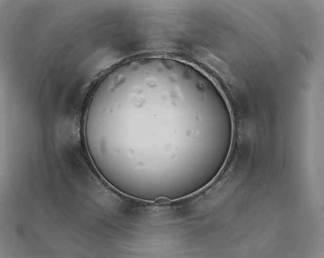 X0000111511451200908041212