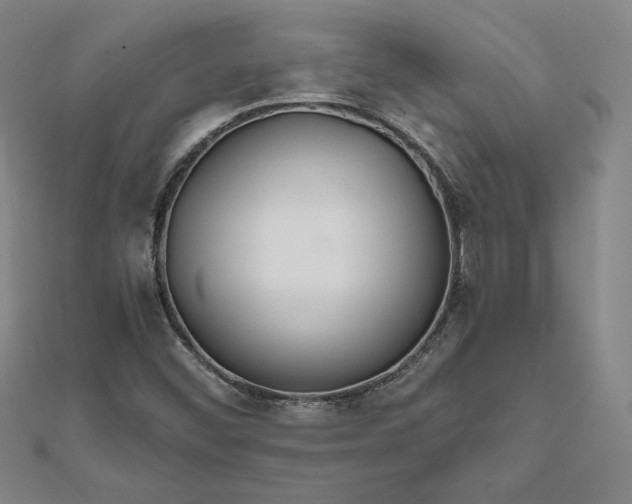 X0000111511452200908041212