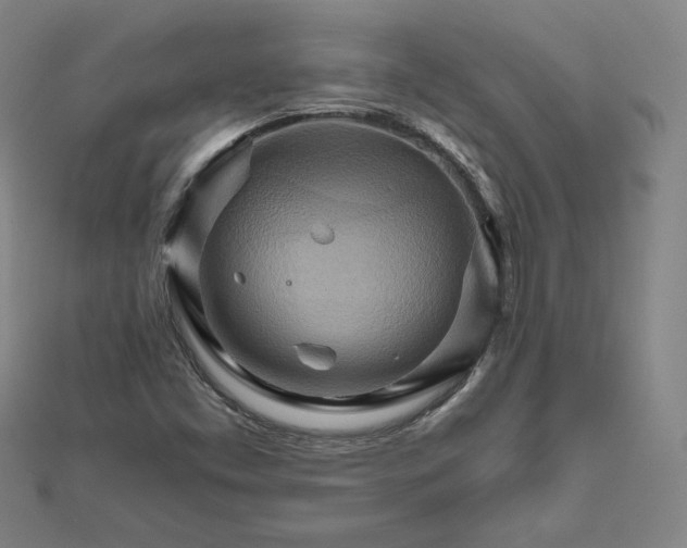 X0000111511453200908041212