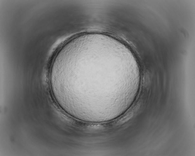 X0000111511454200908041212