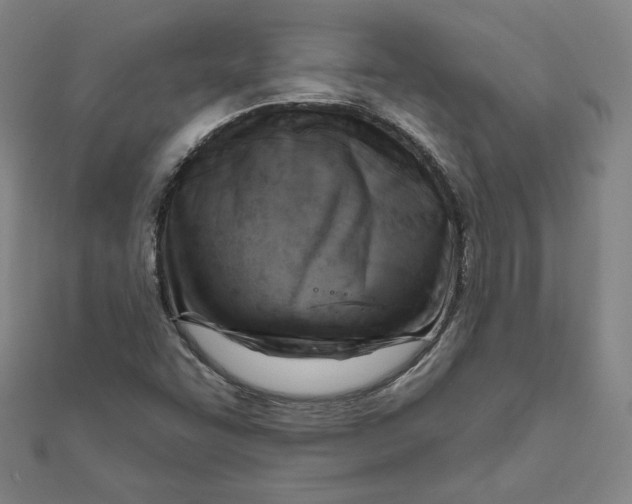 X0000111511455200908041212
