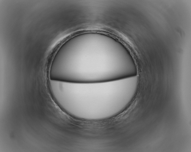 X0000111511456200908041212