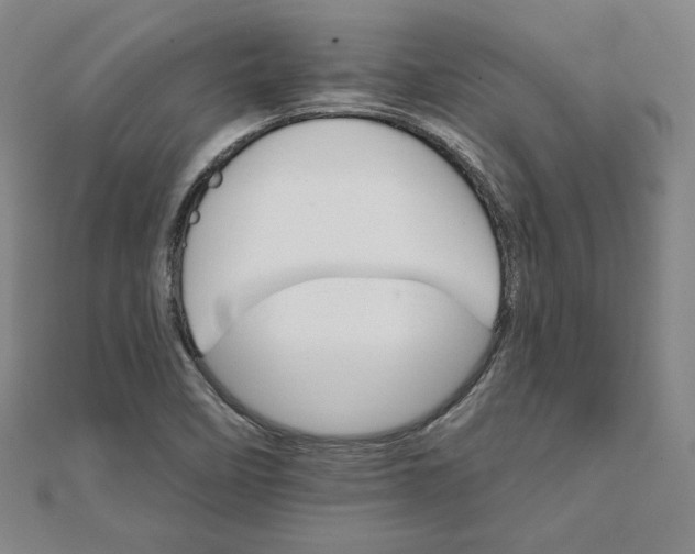 X0000111511458200908041212