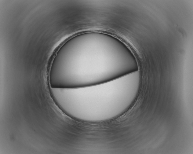 X0000111511460200908041212