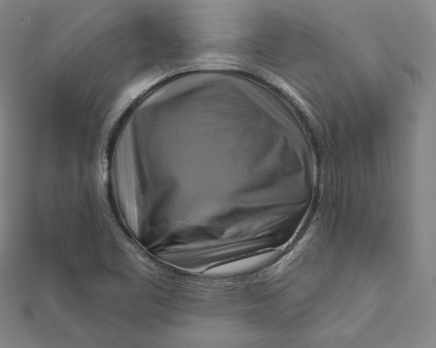 X0000111511461200908041212