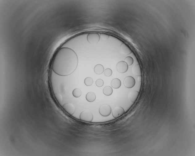X0000111511463200908041212