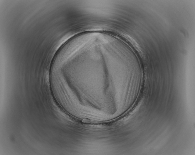 X0000111511465200908041212