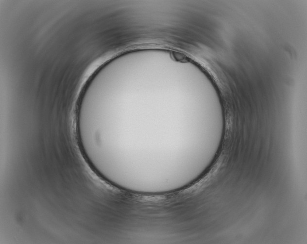 X0000111511466200908041212