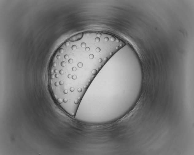 X0000111511467200908041212