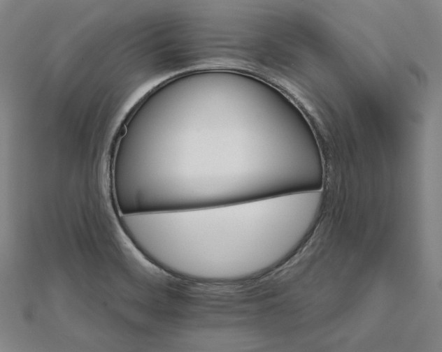 X0000111511468200908041212